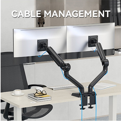 Rosewill Premium Dual Monitor Mount