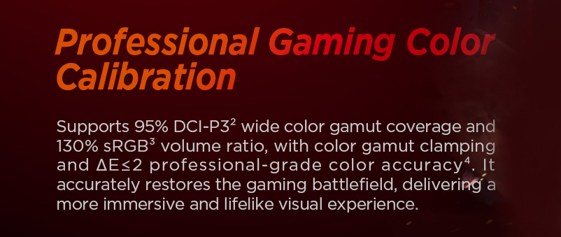 HKC G25H5P Gaming Monitor