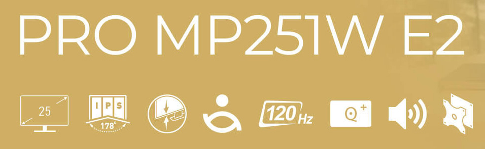 MSI PRO MP251 E2 Monitor