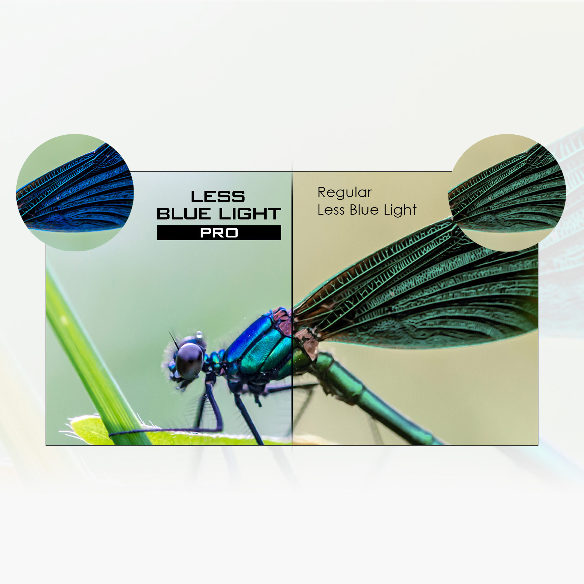 MSI Modern MD272QX Series Monitor