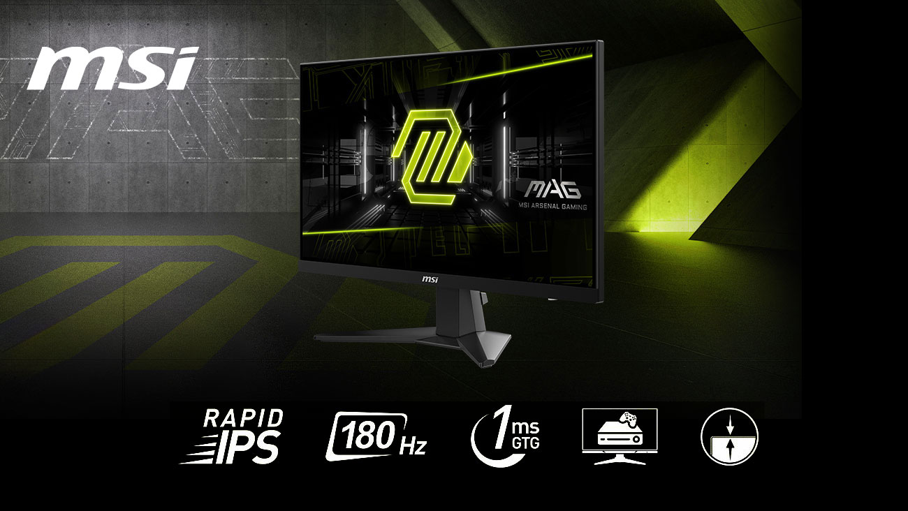 MSI MAG 256F Gaming Monitor