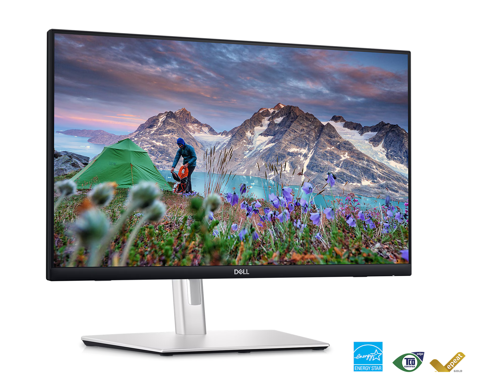 Dell P2424HT Monitor