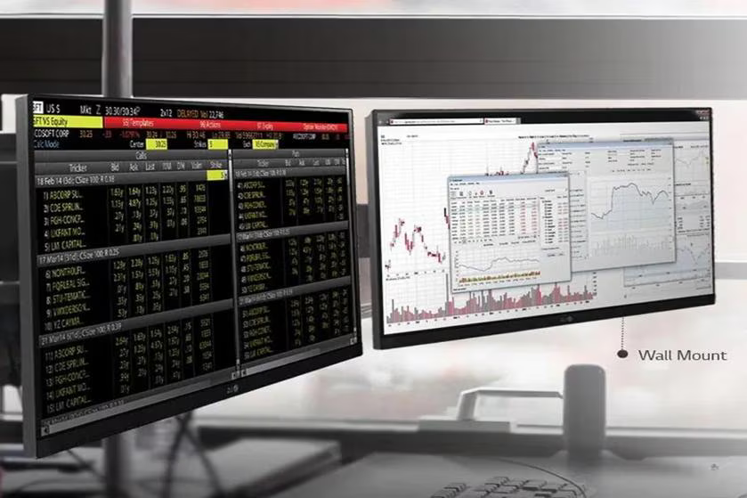 LG 24BP450Y-I IPS FHD Monitor 