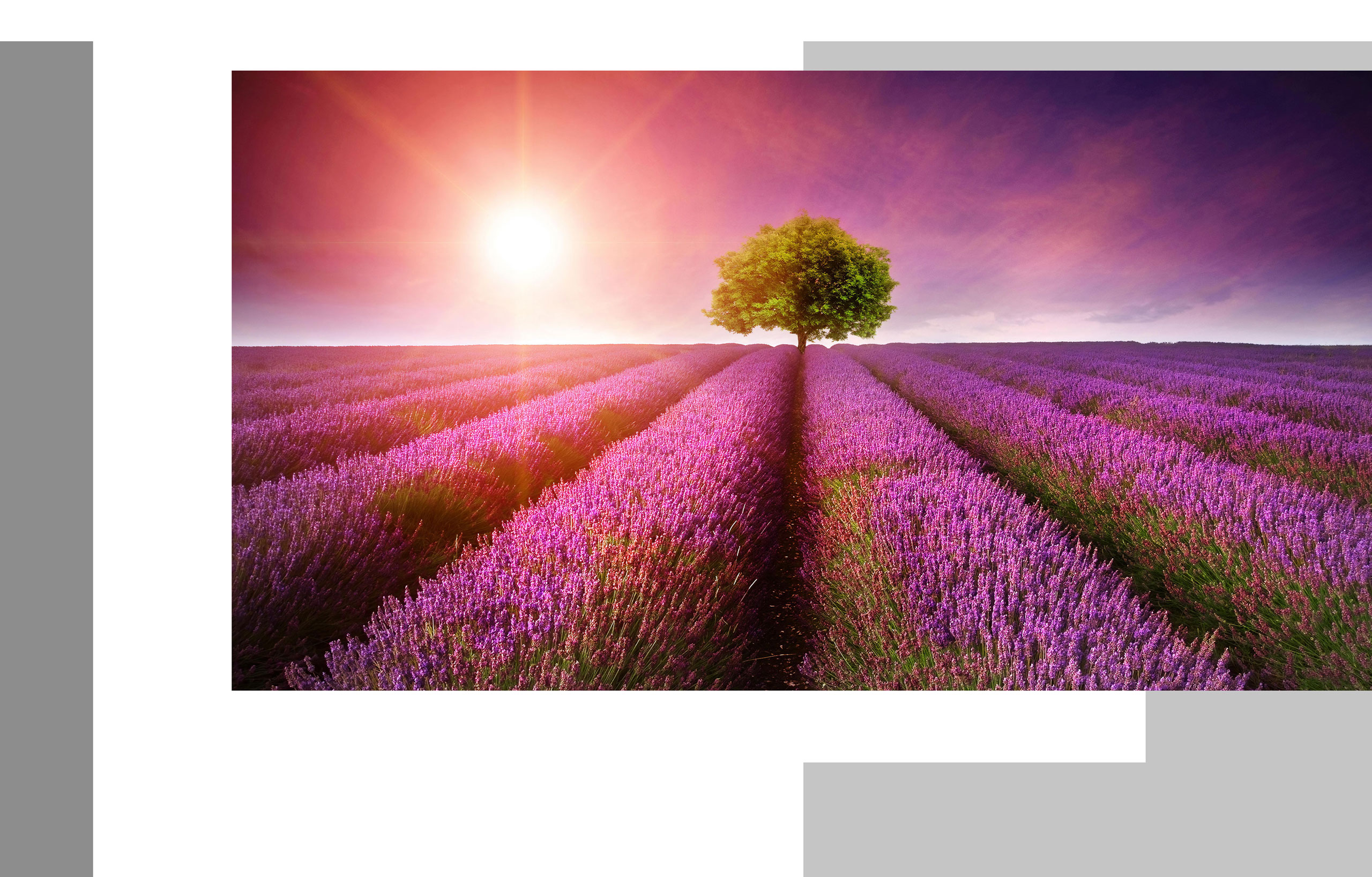 MSI Pro MP341CQW Curved monitor