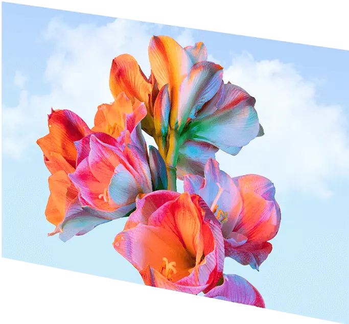 MSI Modern MD27UPHW Computer Monitor