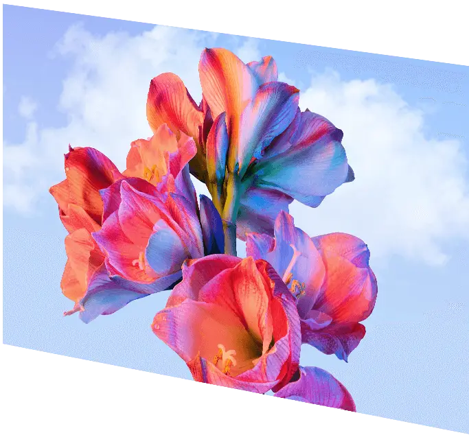 MSI Modern MD27UPHW Computer Monitor