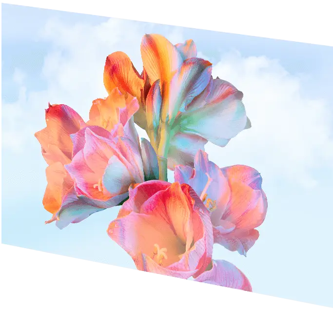 MSI Modern MD27UPHW Computer Monitor