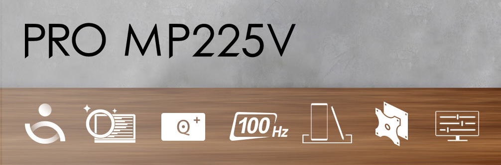 MSI PRO MP225V monitor