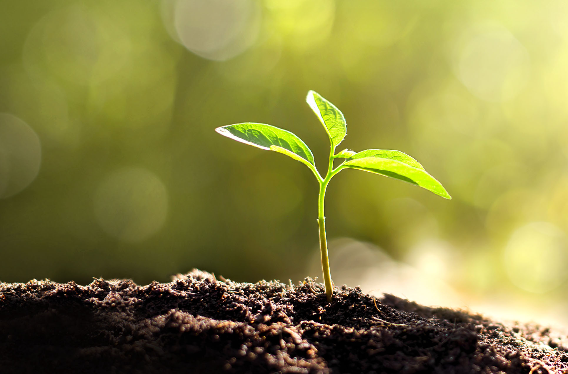 MSI PRO MP275PG E14 Computer Monitor