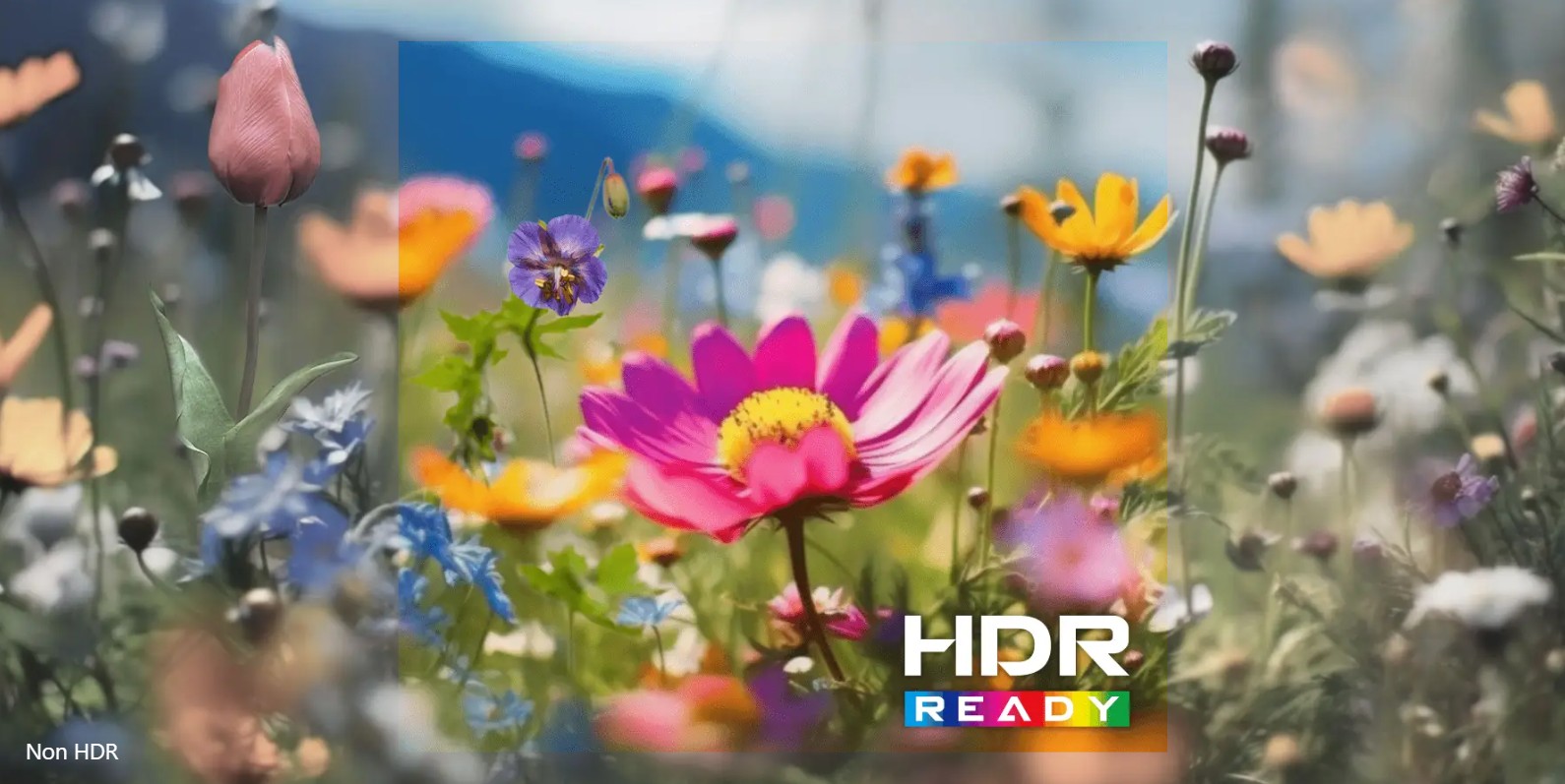 MSI PRO MP243W E14 Business Productivity Monitor