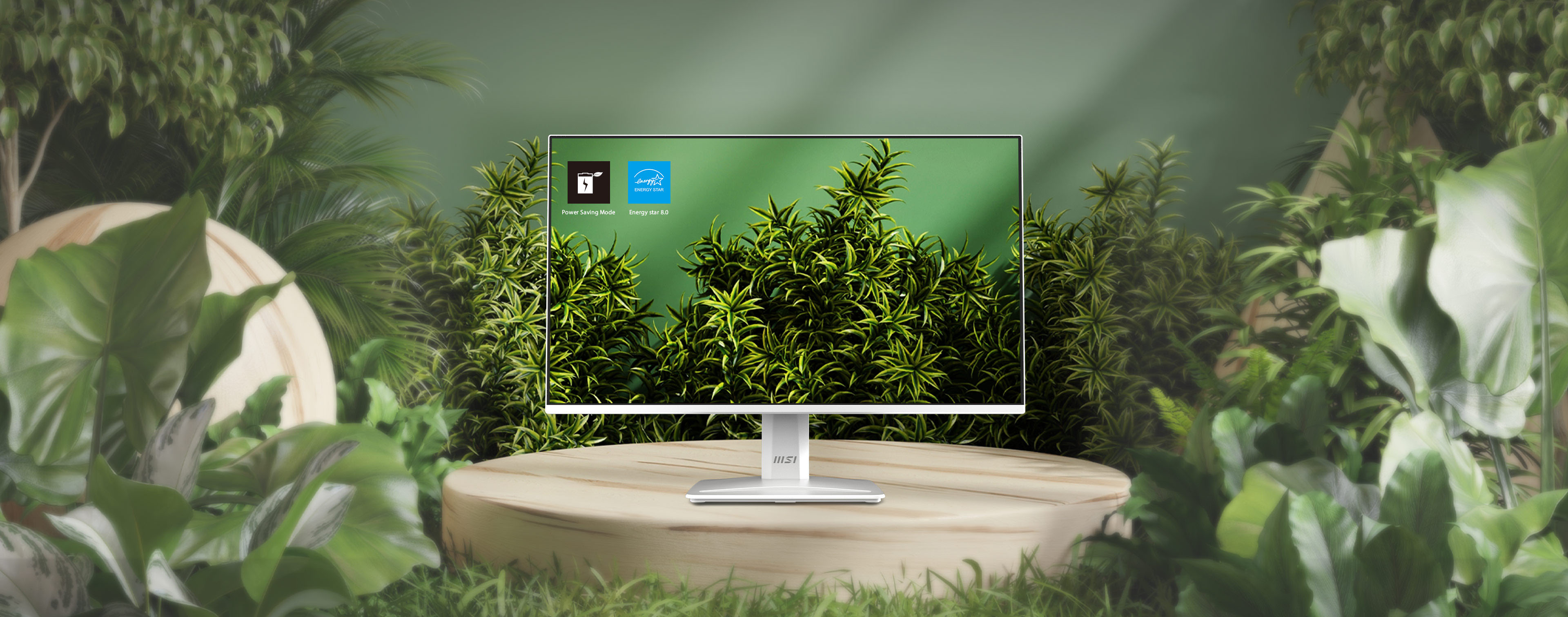 MSI PRO MP243W E14 Business Productivity Monitor