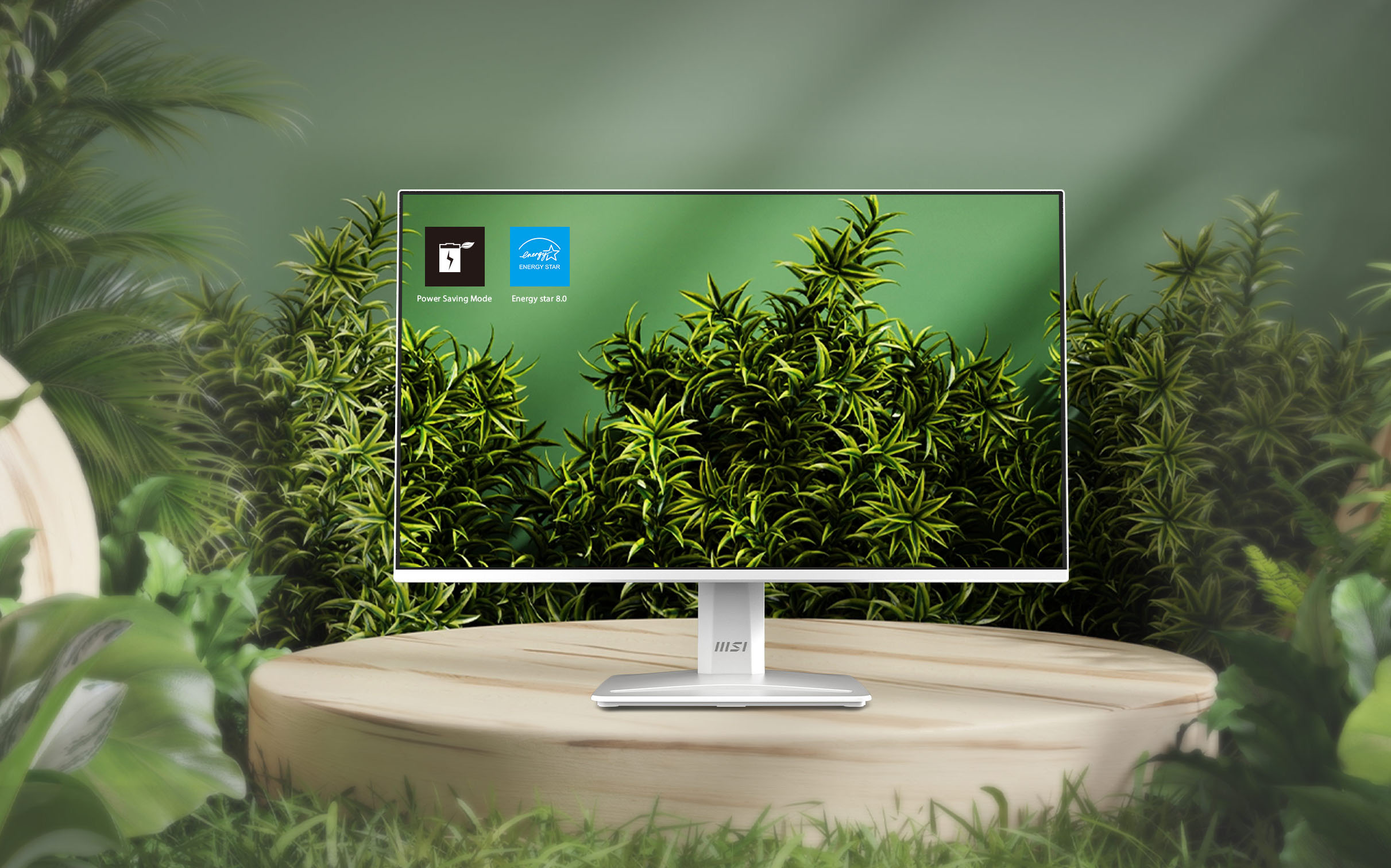 MSI PRO MP243W E14 Business Productivity Monitor