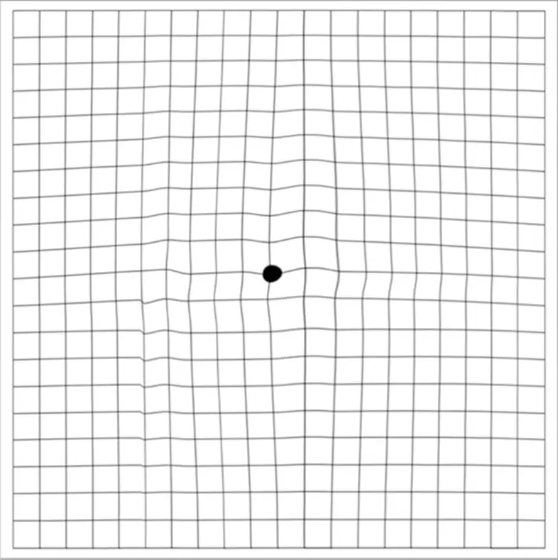 MSI PRO MP243W E14 Business Productivity Monitor