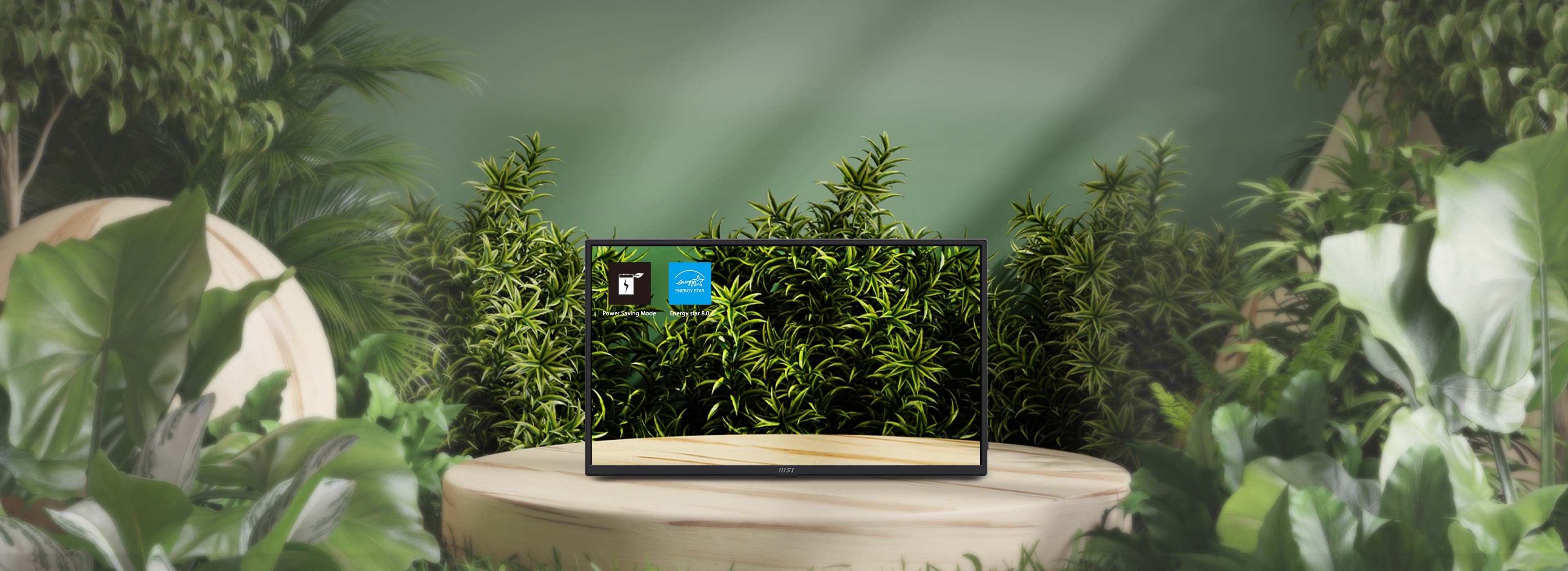 MSI Pro MP165 E6 Portable Monitor