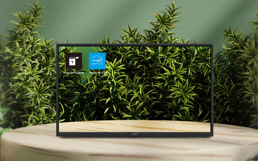 MSI Pro MP165 E6 Portable Monitor