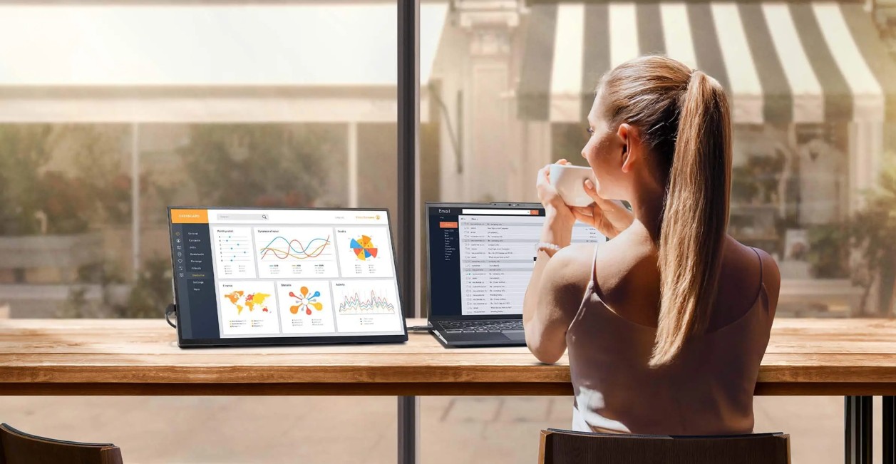 MSI Pro MP165 E6 Portable Monitor