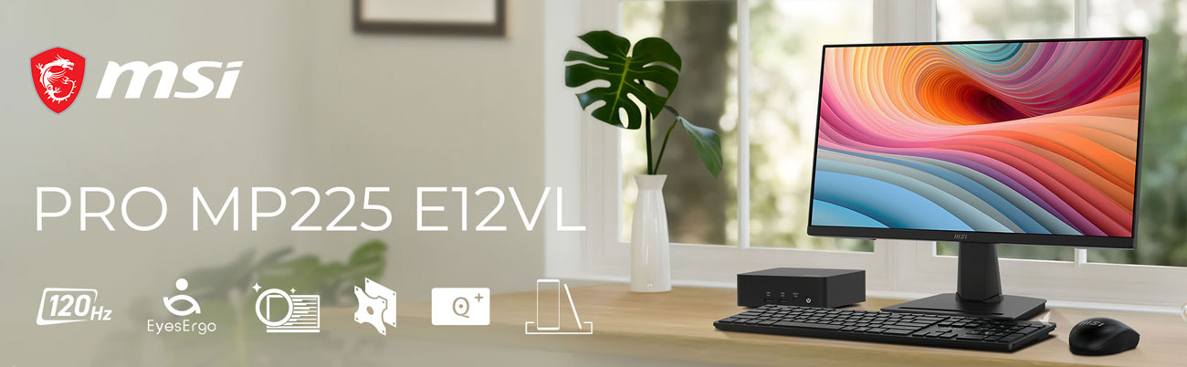 MSI PRO MP225 E12VLL Computer Monitor