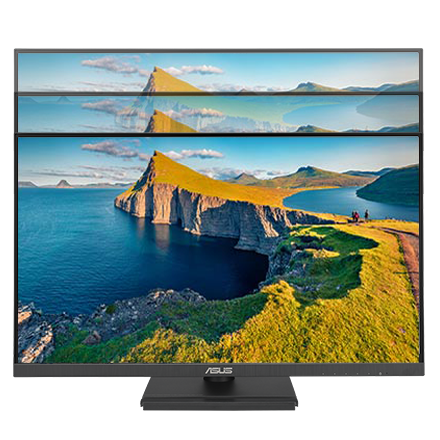 ASUS VA24DQFS Business Monitor