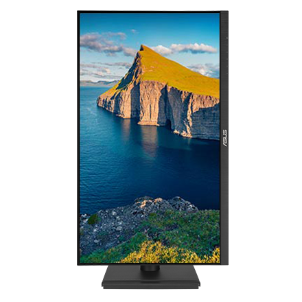 ASUS VA24DQFS Business Monitor