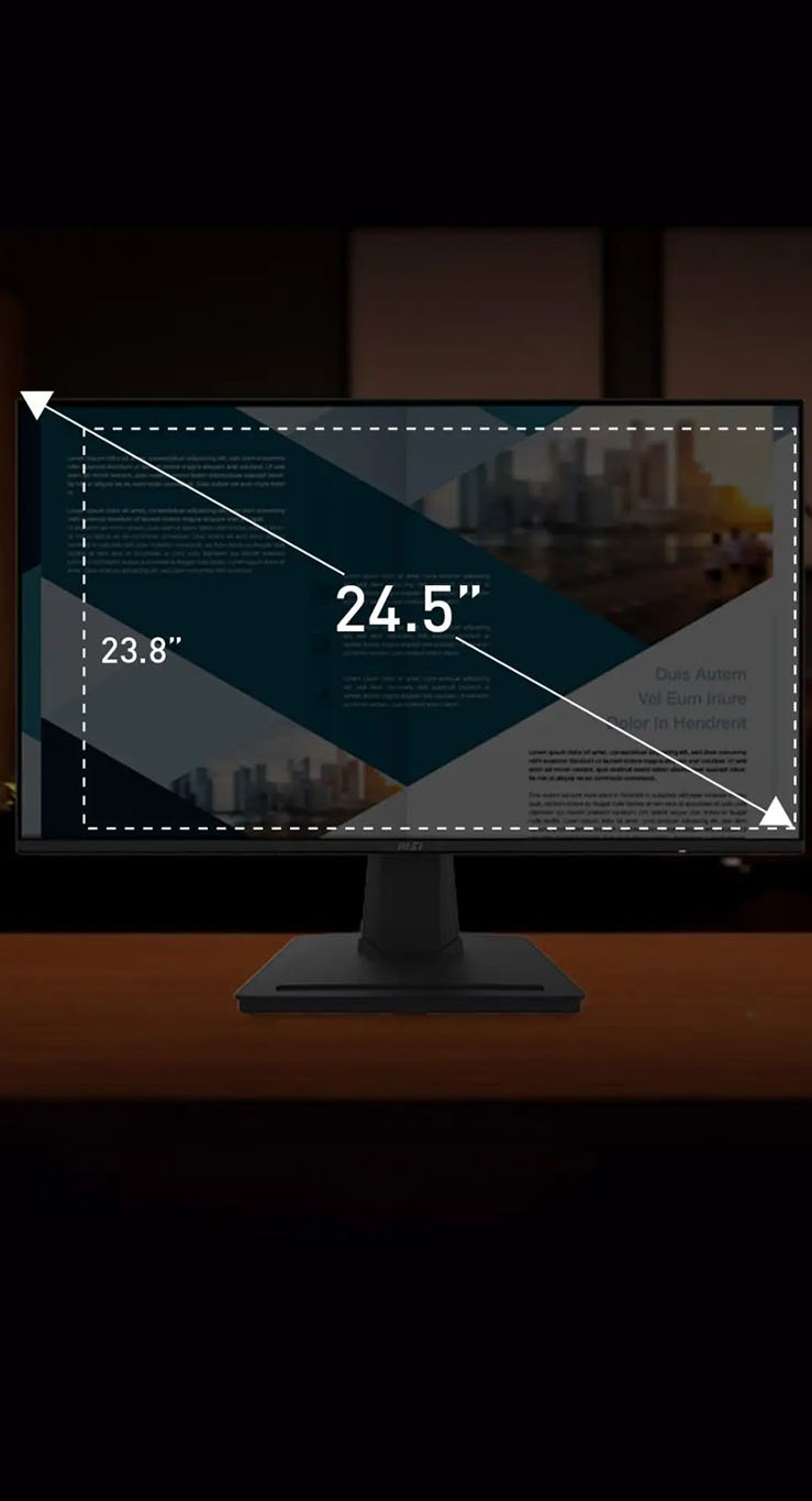 MSI PRO MP252 Computer Monitor