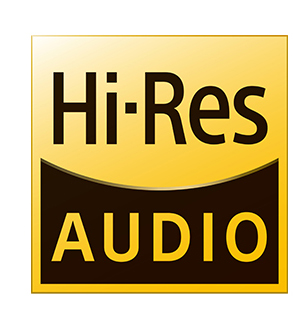 MSI Modern 15H B13M Professional Laptop 