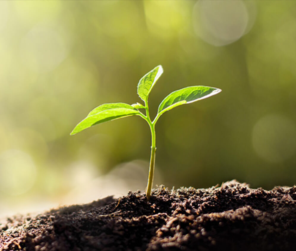 MSI VenturePro A15 AI+ A3HW Notebook