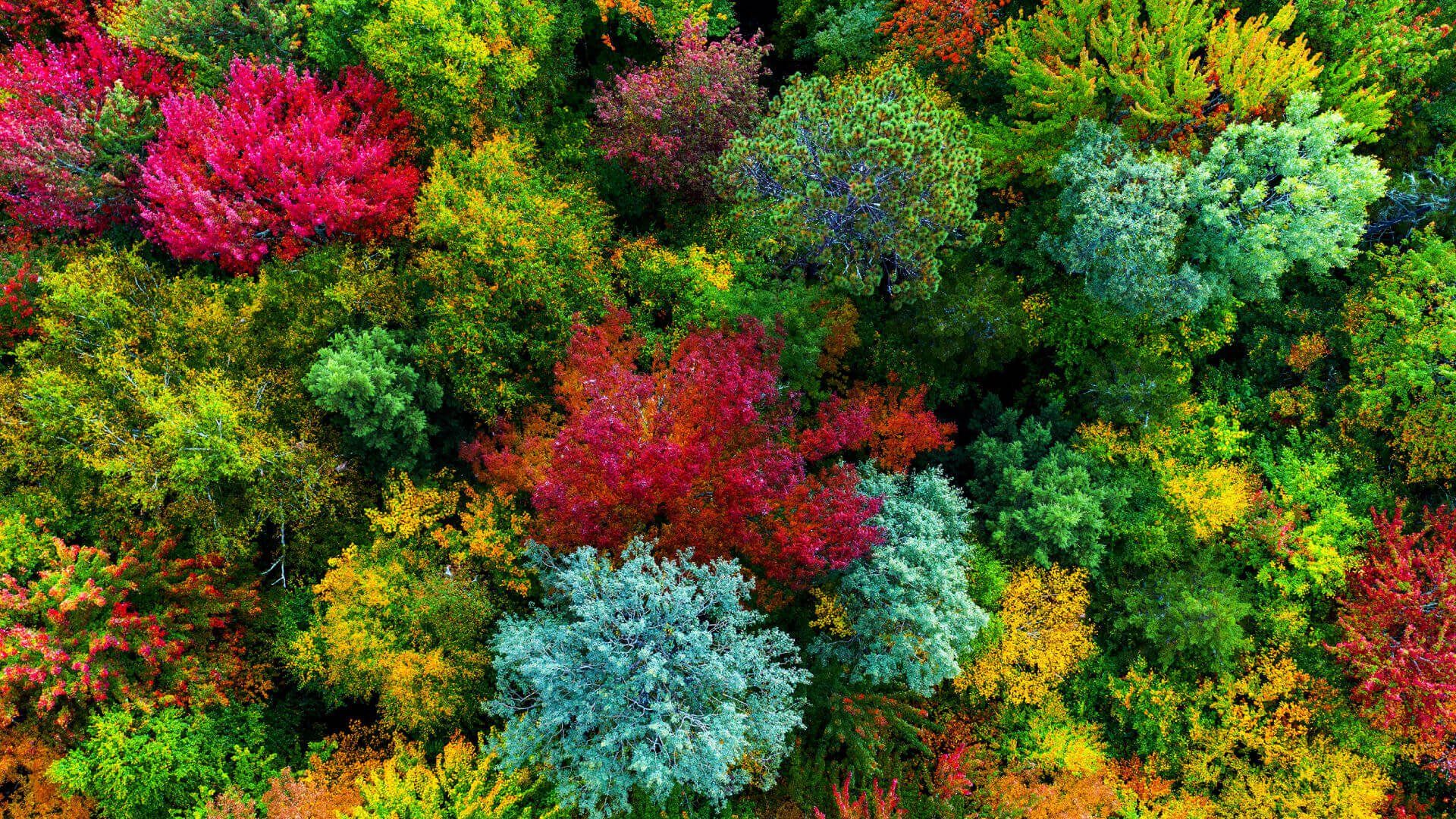 BenQ GP500 Refurbished 4K HDR LED Smart Home Theater Projector