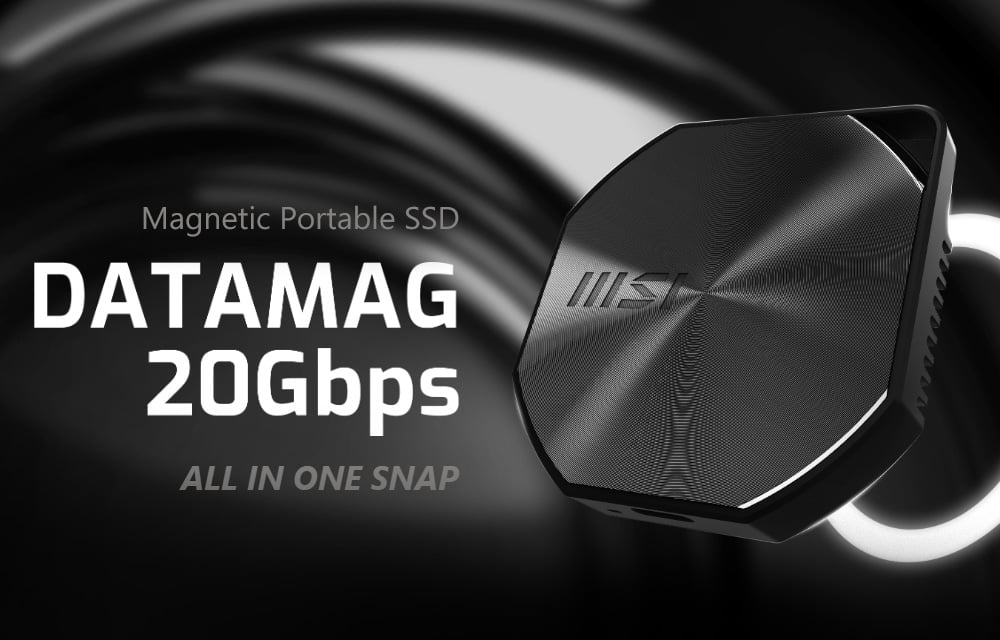 MSI DATAMAG USB 3.2 Gen 2x2 Solid State Disk