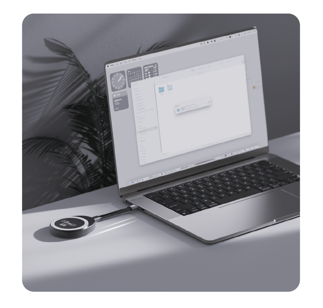 Silicon Power MX10 Built-in Magnetic Portable SSD