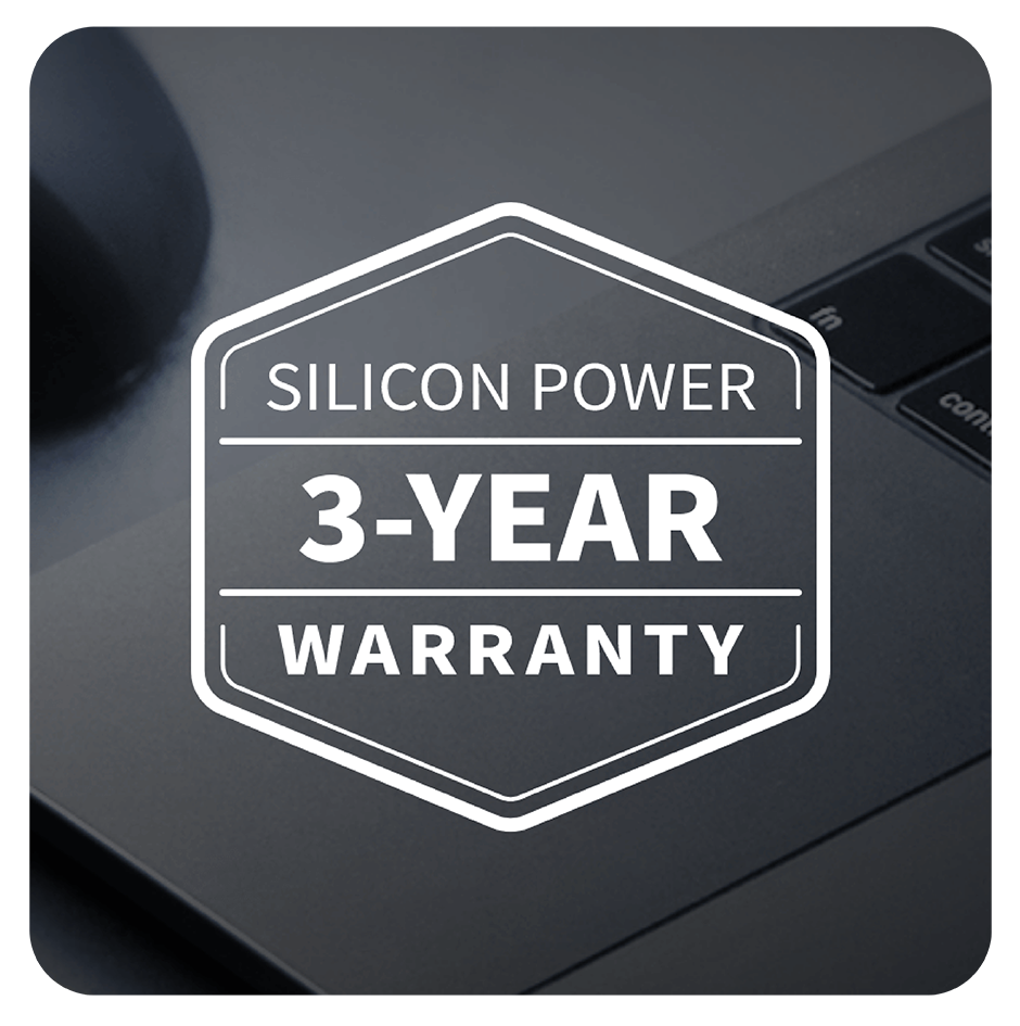 Silicon Power E55 Internal Solid State Drive