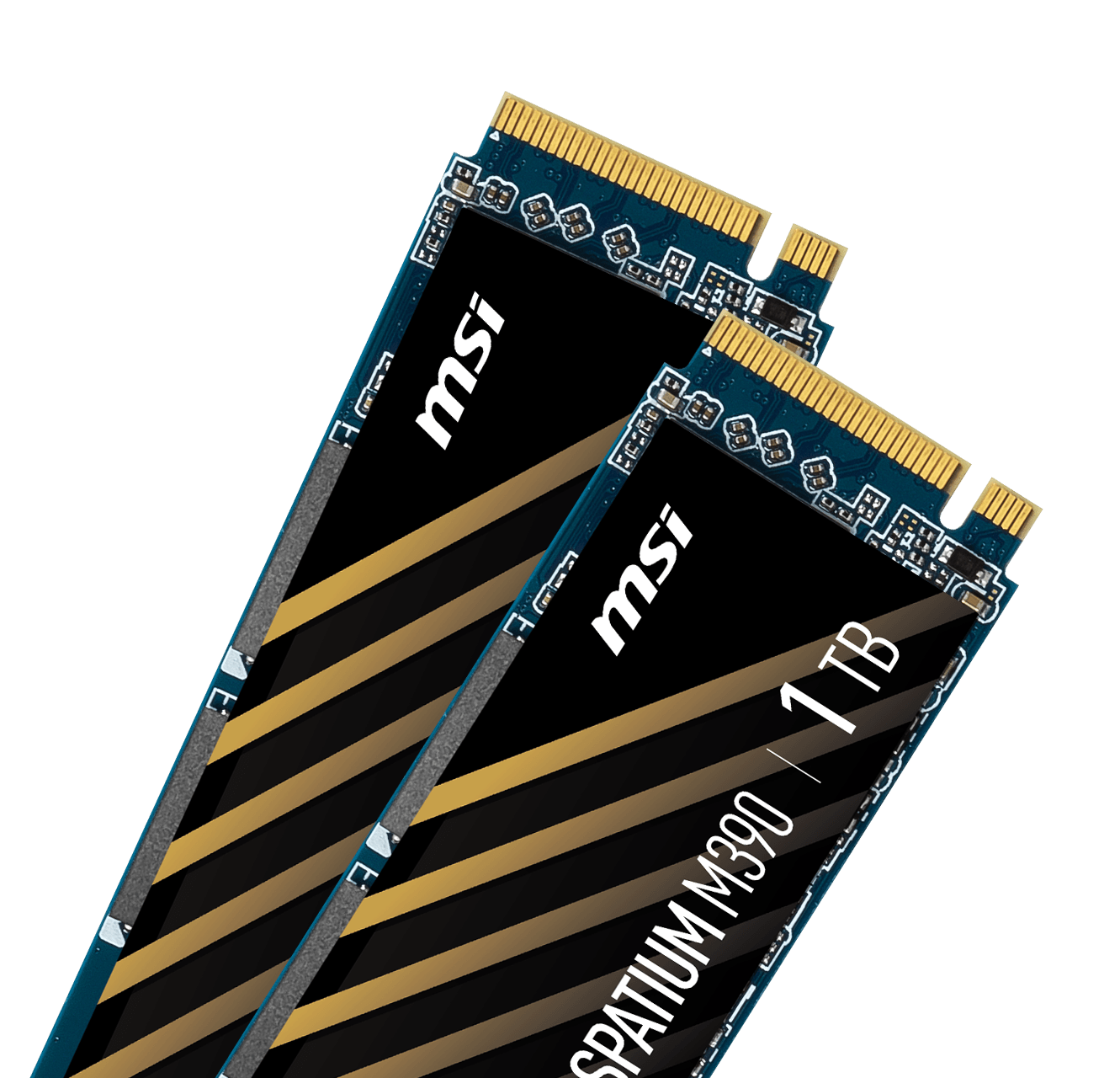 MSI M461 M.2 2280 Internal Solid State Drive