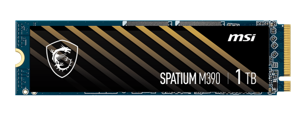 MSI M461 M.2 2280 Internal Solid State Drive