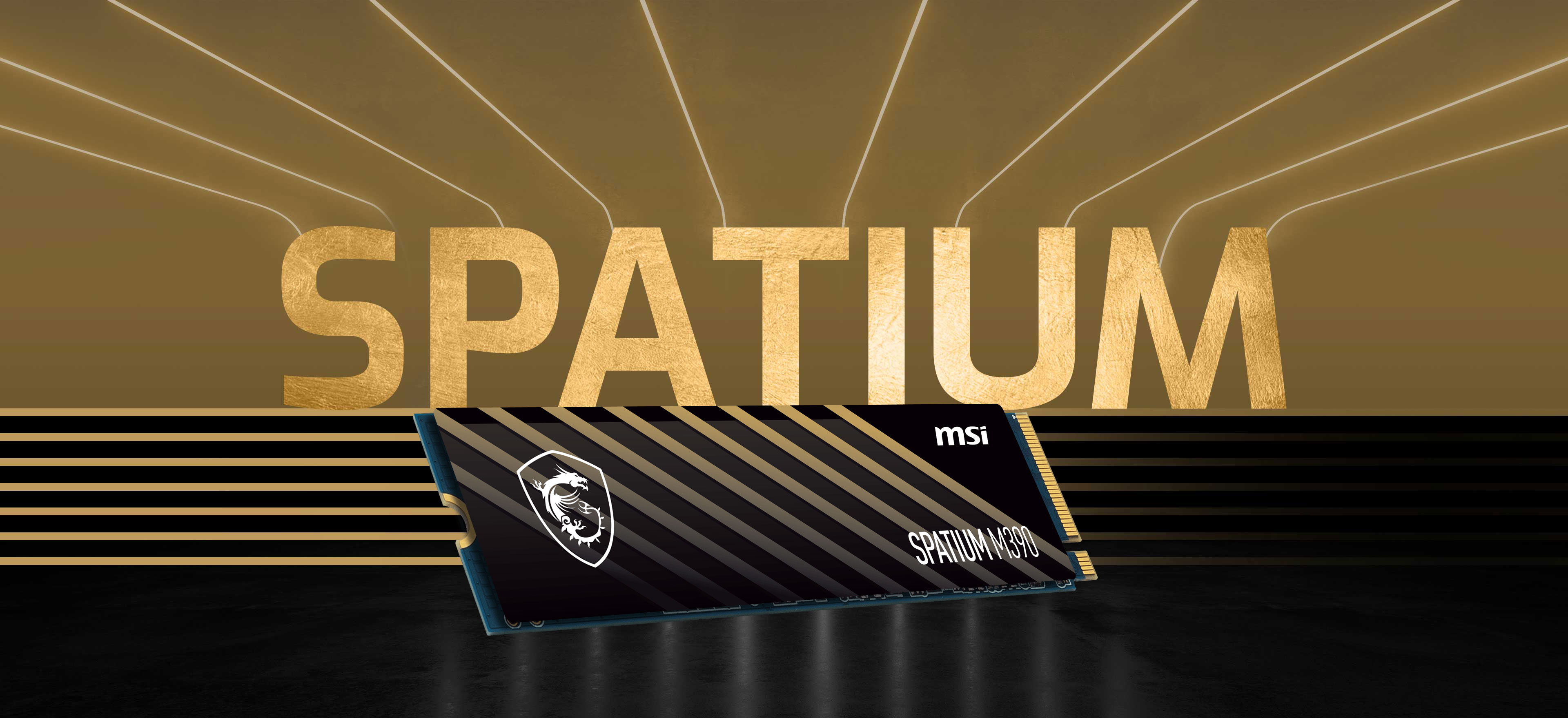 MSI M461 M.2 2280 Internal Solid State Drive