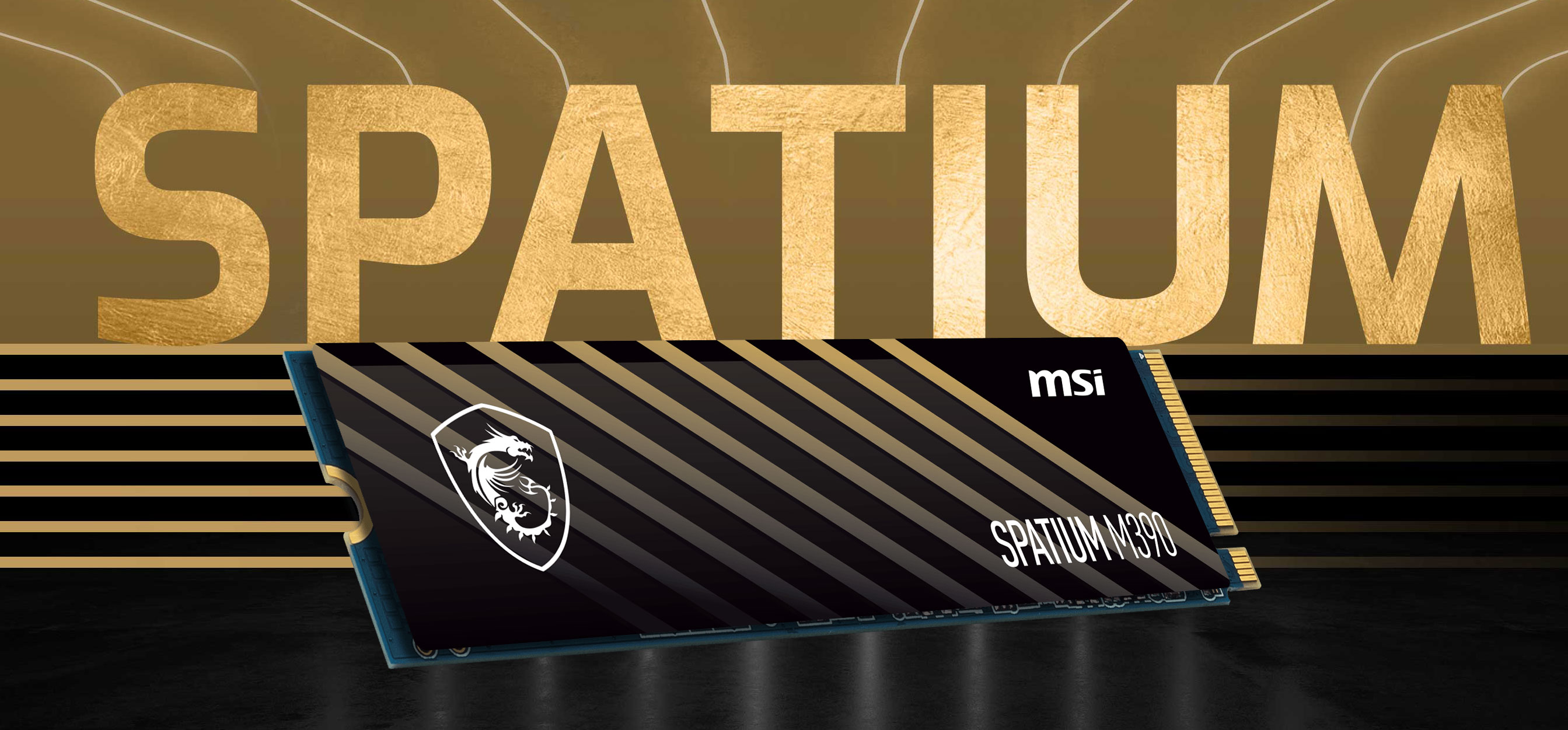 MSI M461 M.2 2280 Internal Solid State Drive