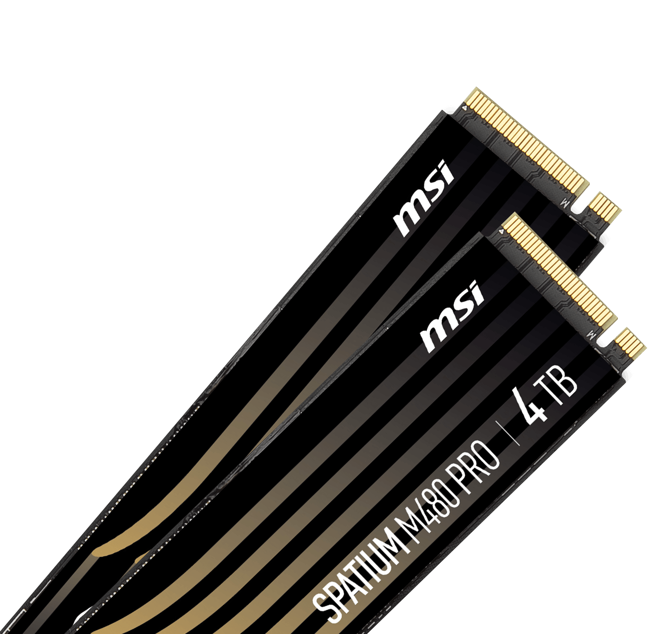 MSI M461 M.2 2280 Internal Solid State Drive