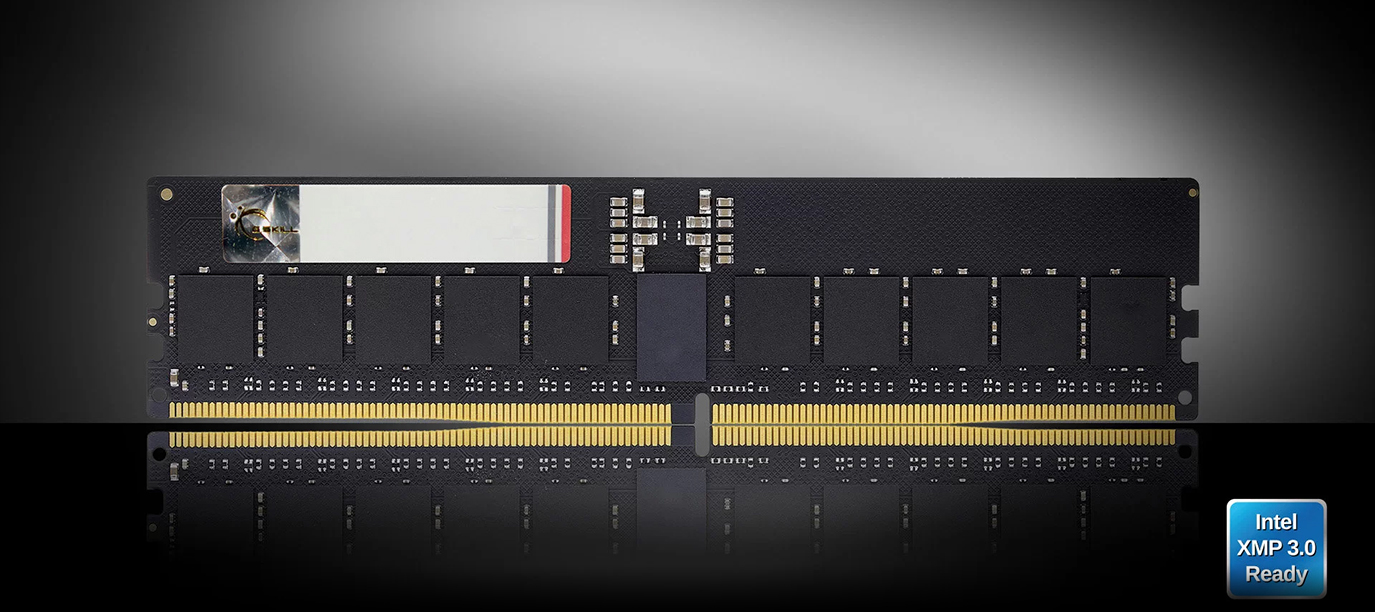 G.SKILL G5 Series Server Memory