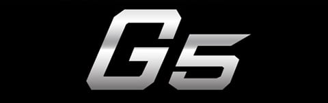 G.SKILL G5 Series Server Memory