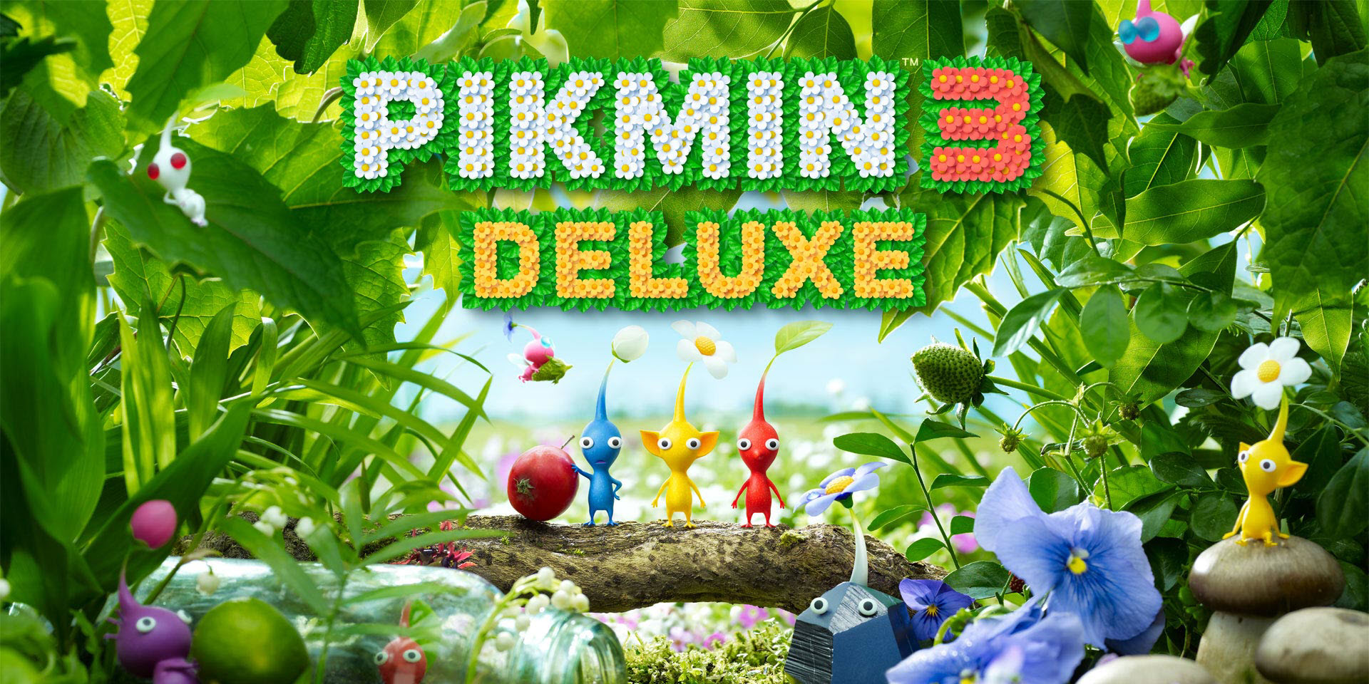 Collect Treasure Pikmin Deluxe Dlc Pikmin For Nintendo Wii U At
