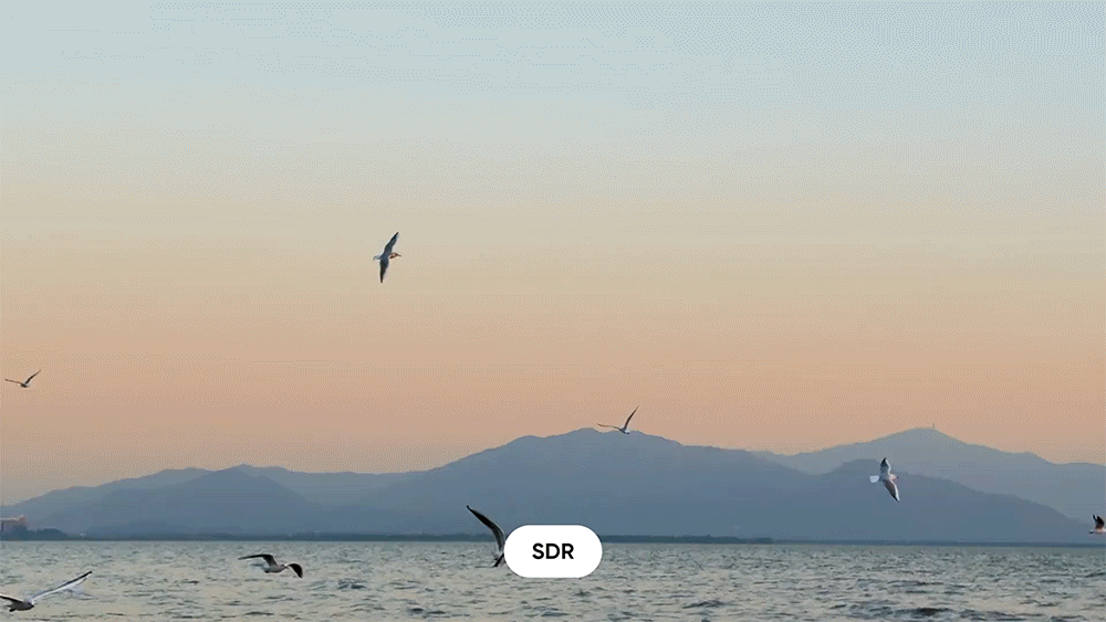 Insta360 Flow 2 Series Gimbal for Smart Phone