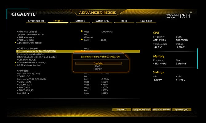 EXPO and XMP Dual Support