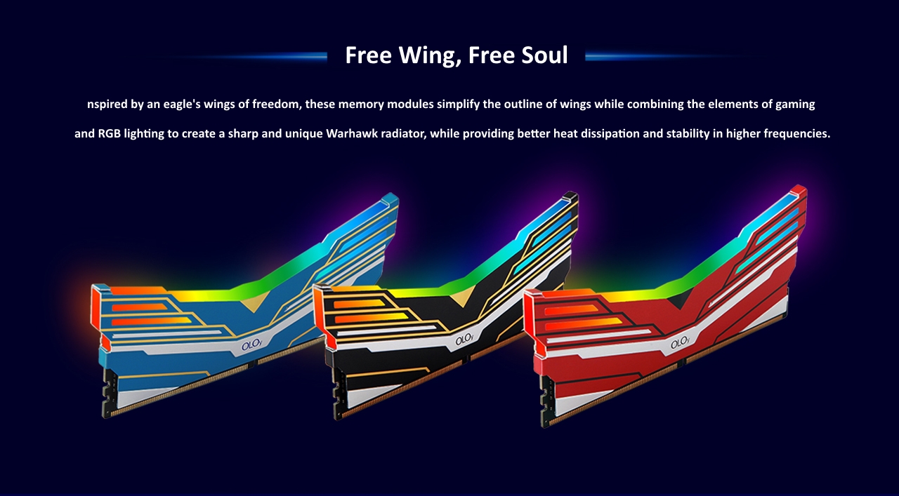 Free Wing, Free Soul