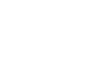 Icon 100HZ