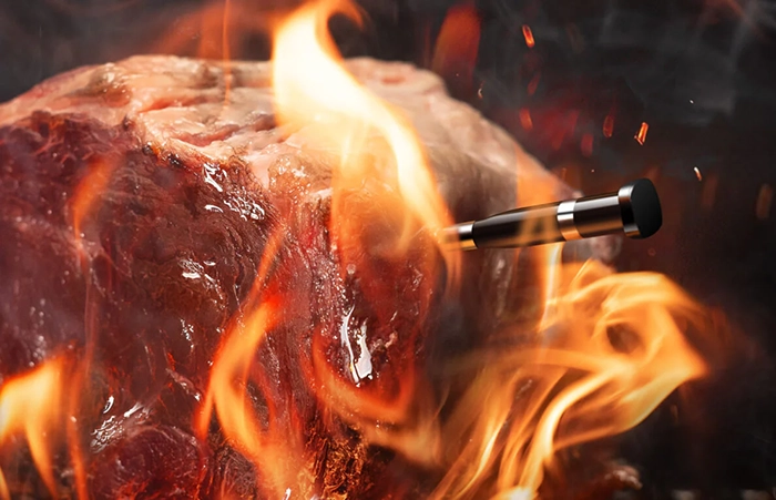Typhur Sync One Smart Wireless Meat Thermometer