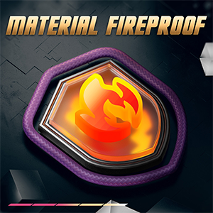 image for this item