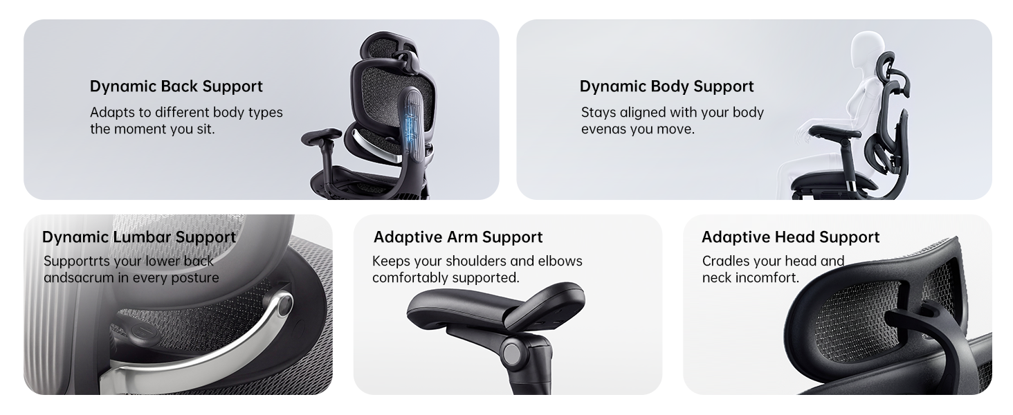 Ergonomic Office Chair