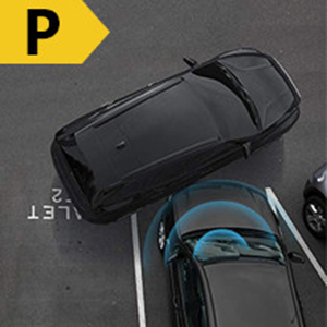 image for this item