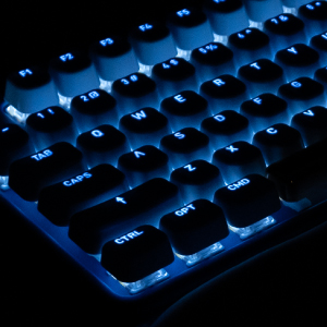 image for this item
