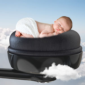 image for this item
