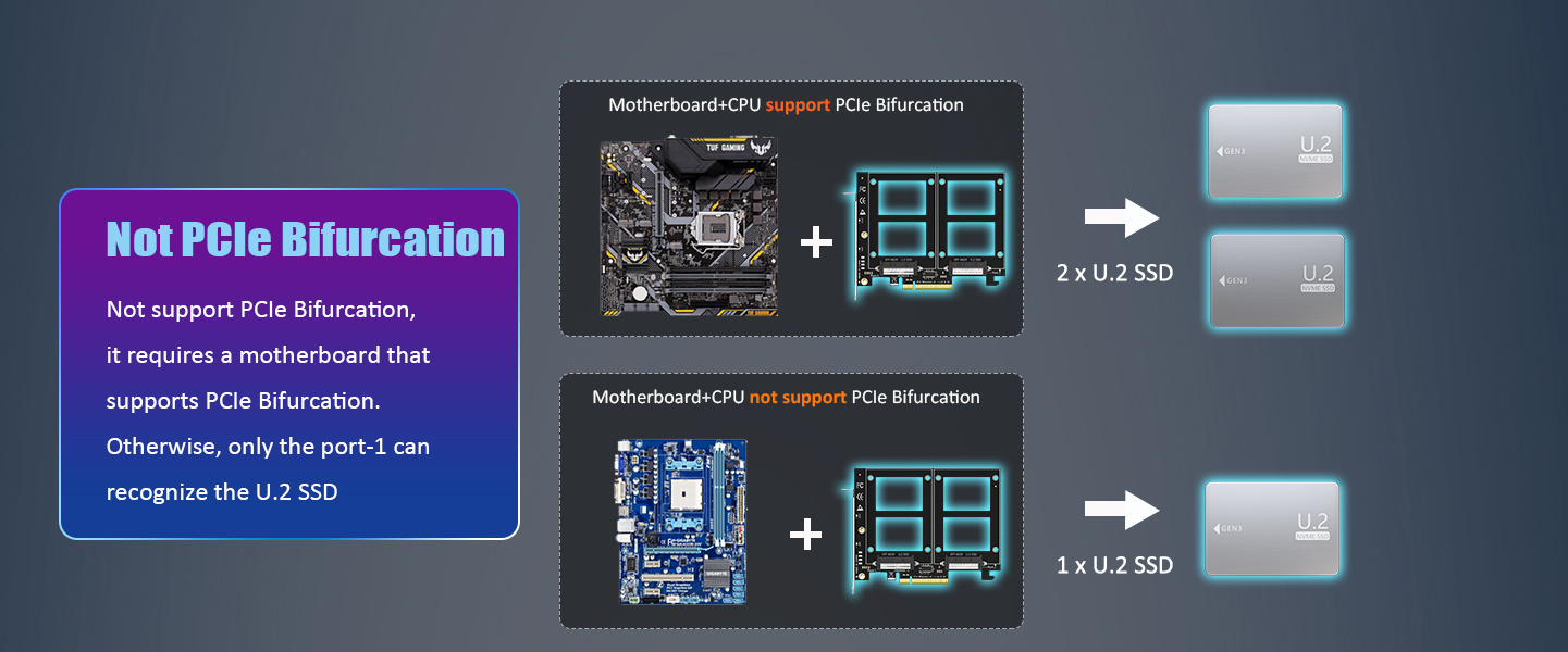 Dual U.2 to PCIe 4.0 X8