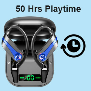 image for this item